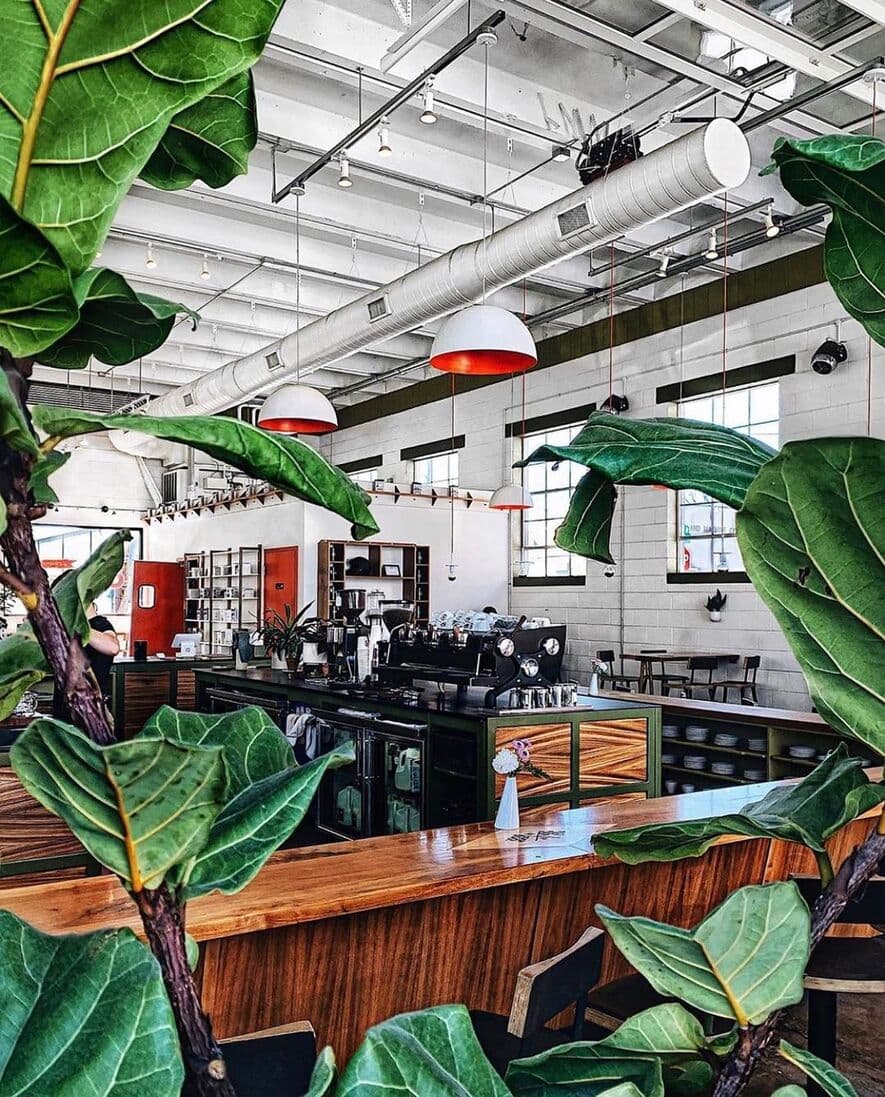 A coffee shop through plants