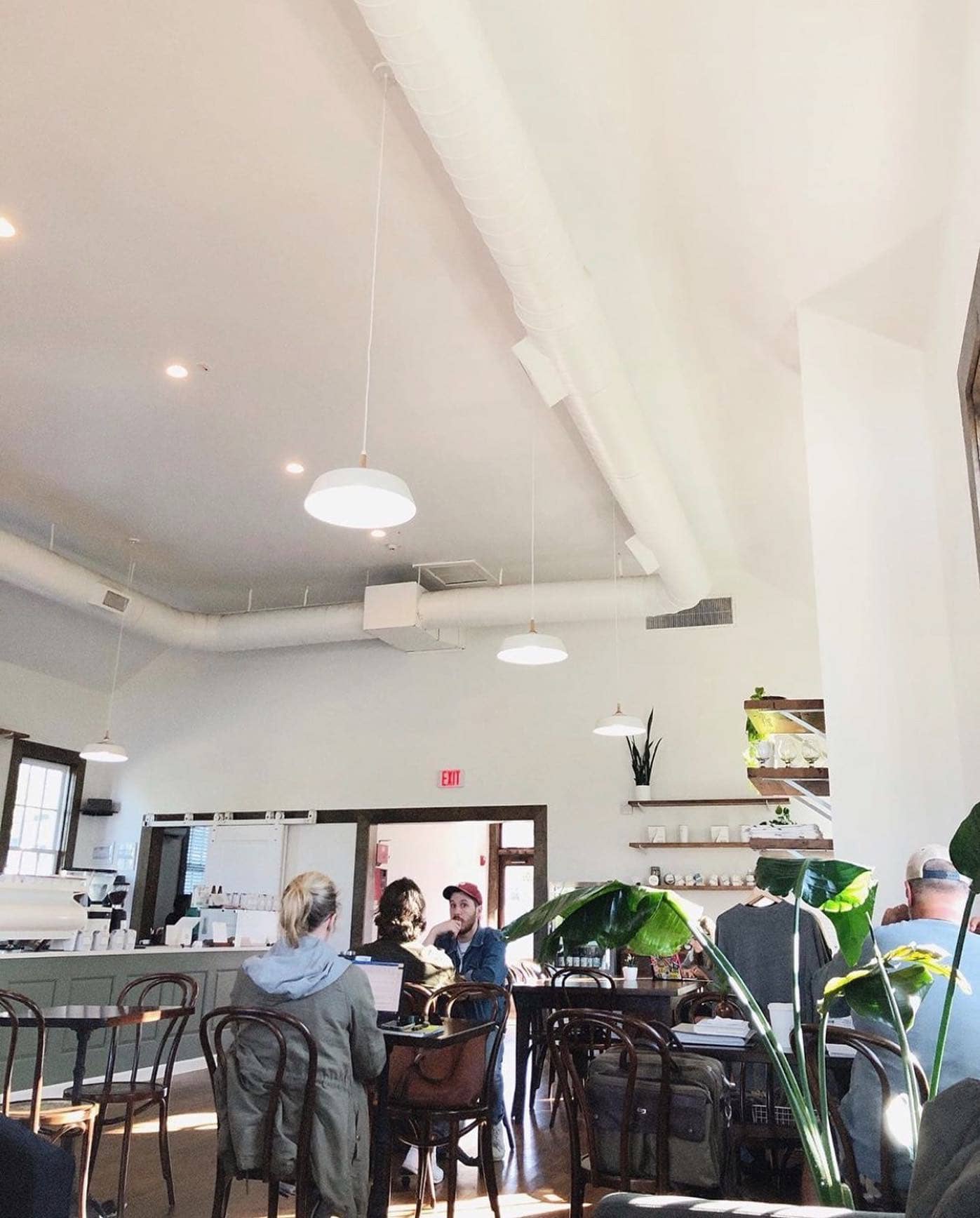 Plants at a coffee shop