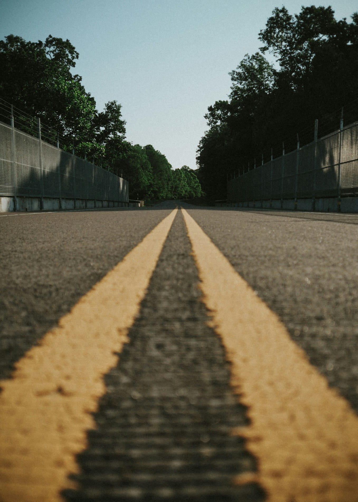 The Natchez Trace road closeup