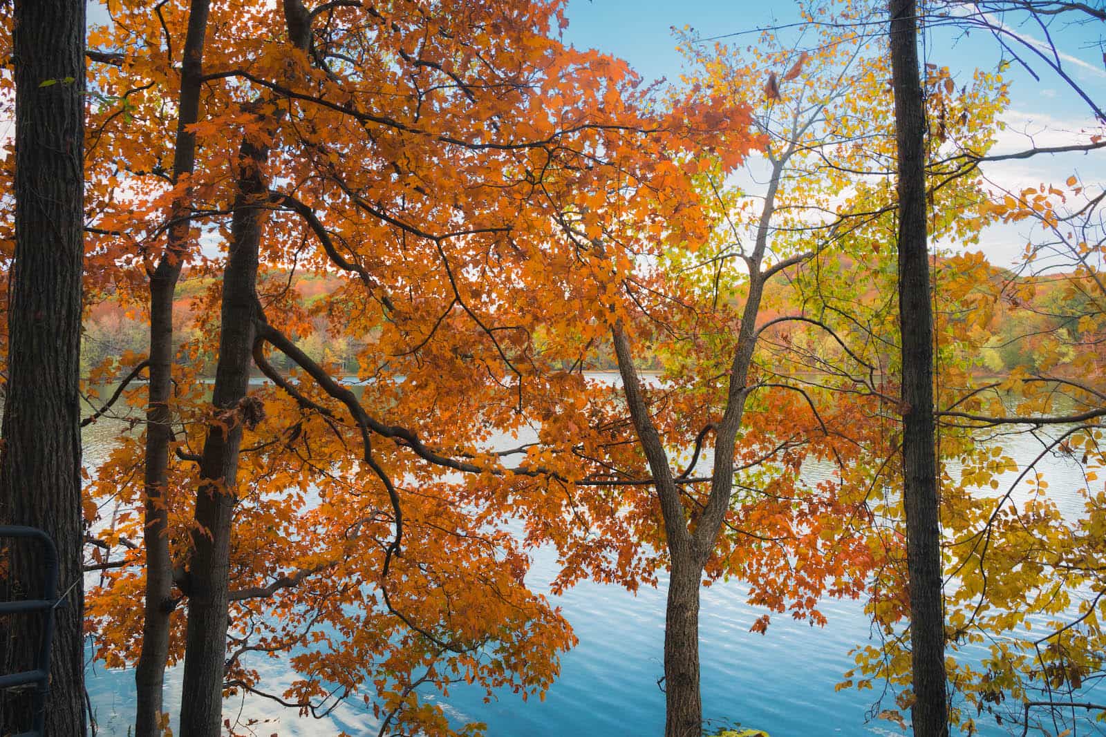 Radnor Lake in the fall