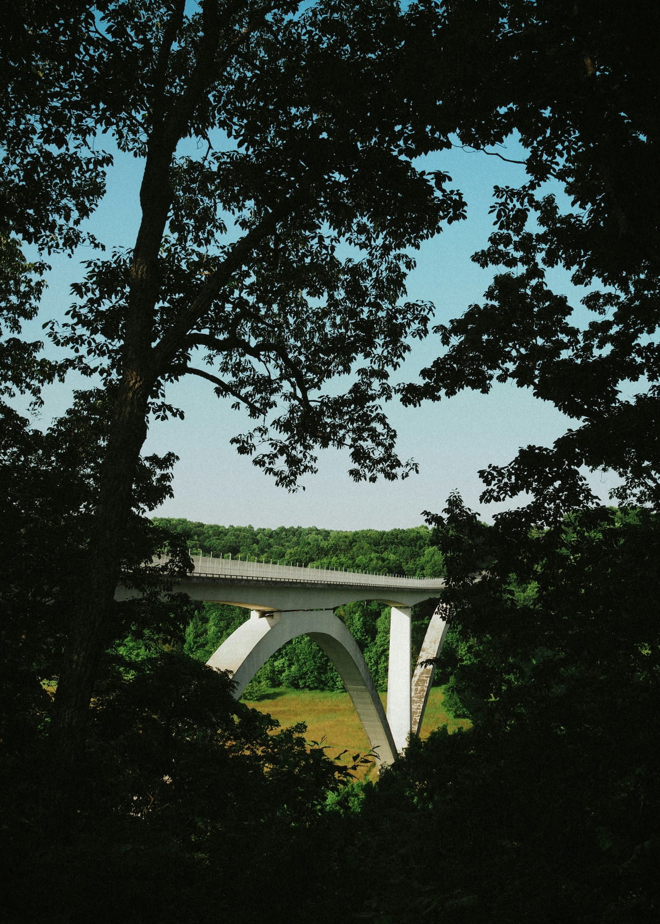 The Natchez Trace Parkway bridge