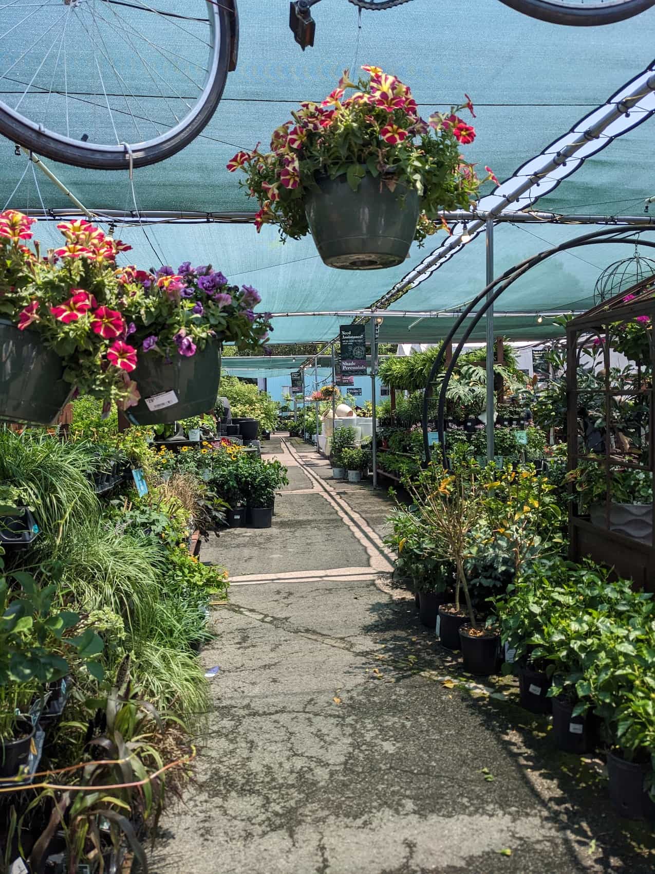 An outside view of Babylon Gardens