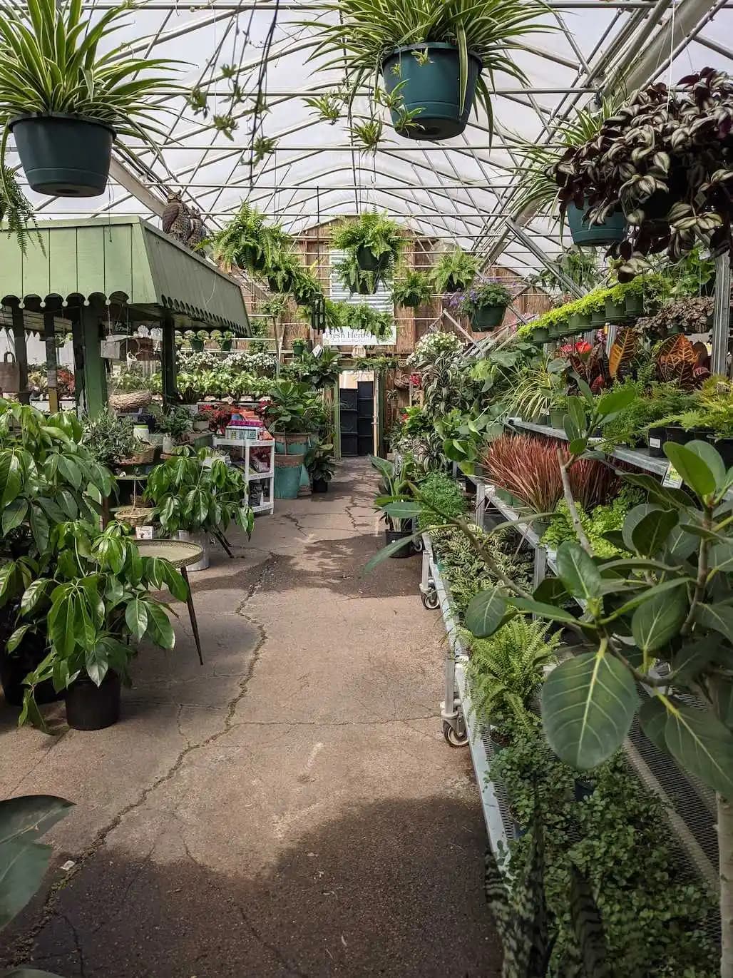 Flower Mart plants and flowers outside