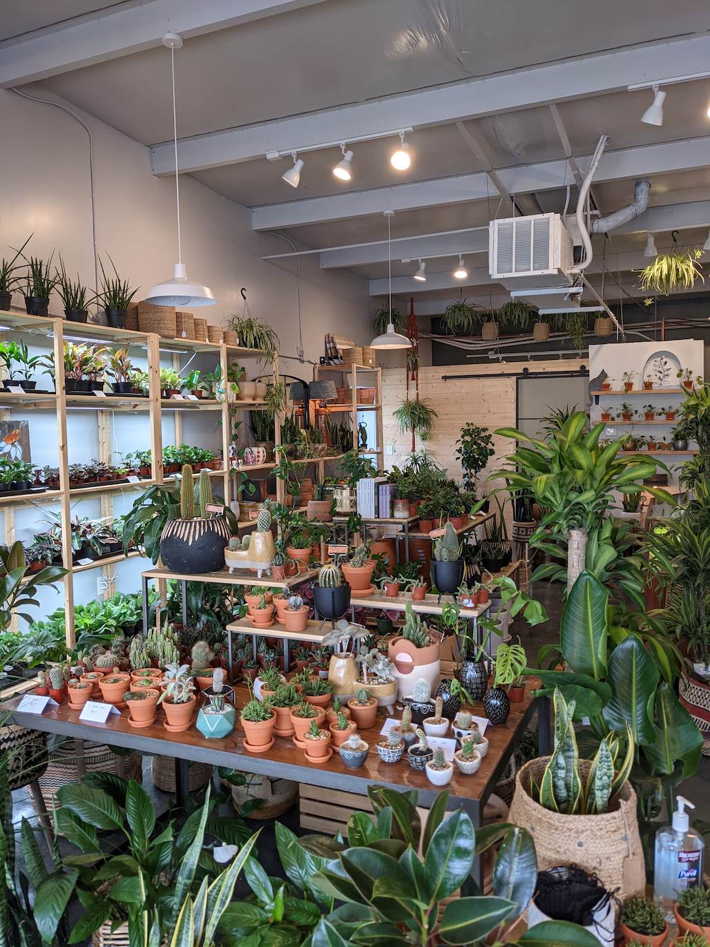 Hoop House's gorgeous interior full of plants