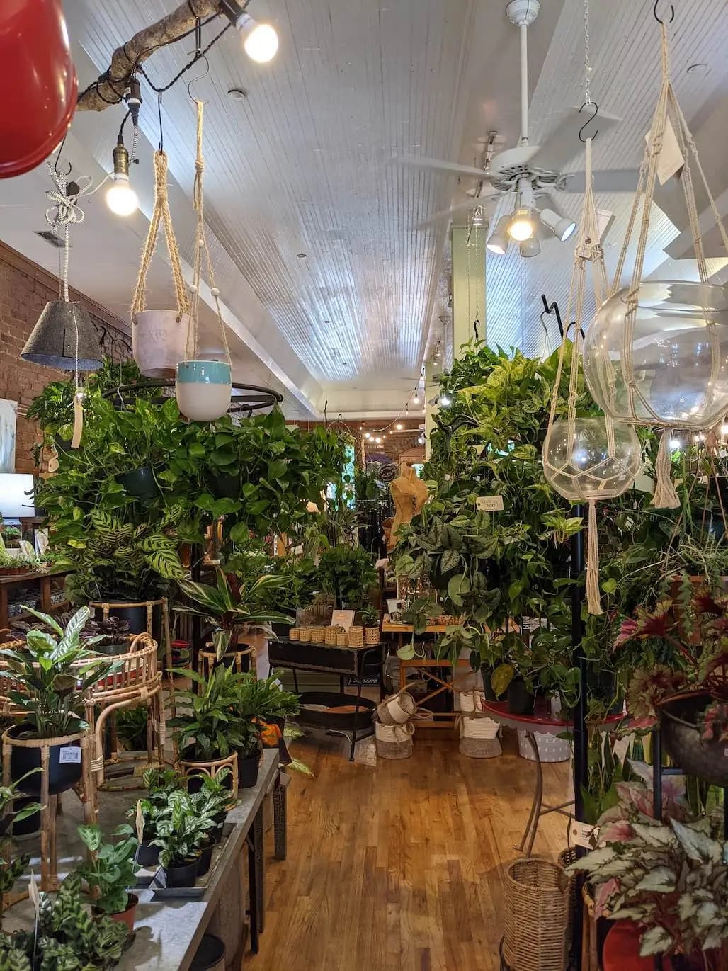 Inside Yarrow Acres plant shop