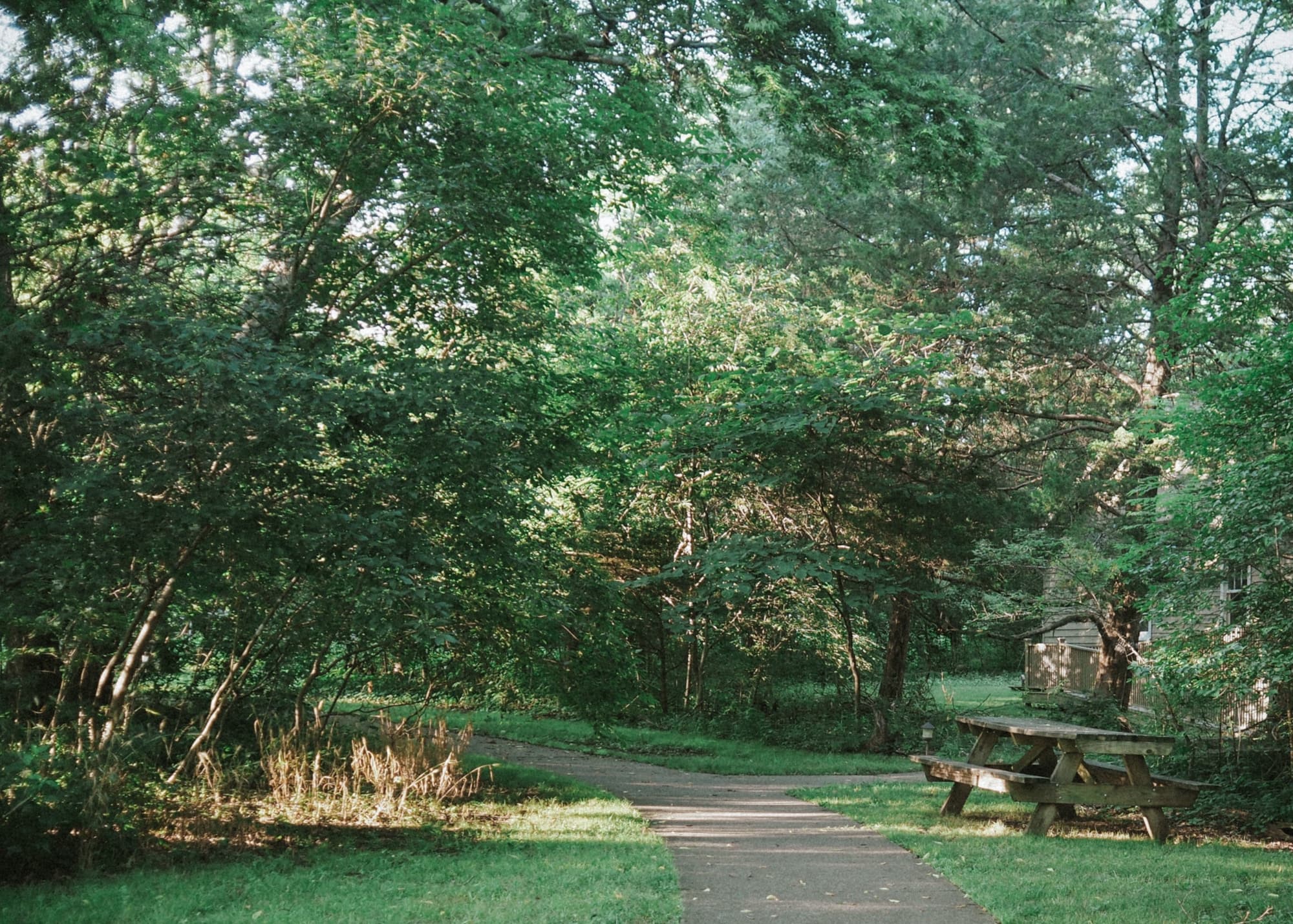 Edwin Warner Park curved trail