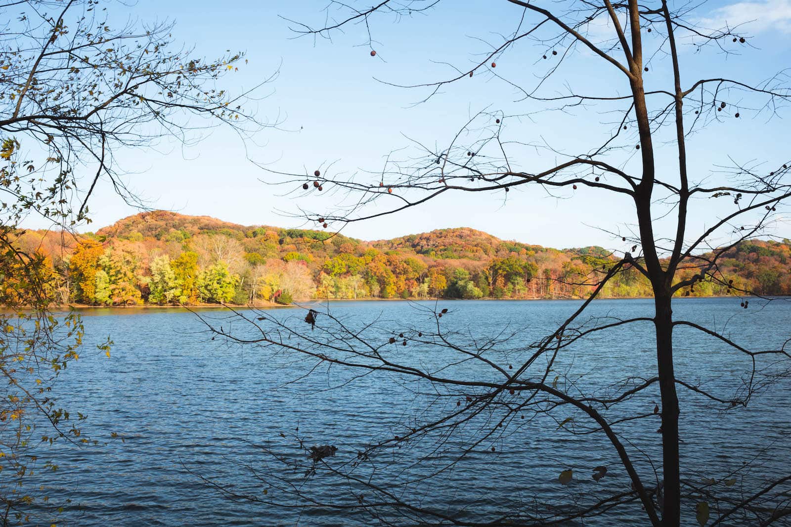 Radnor Lake in the fall