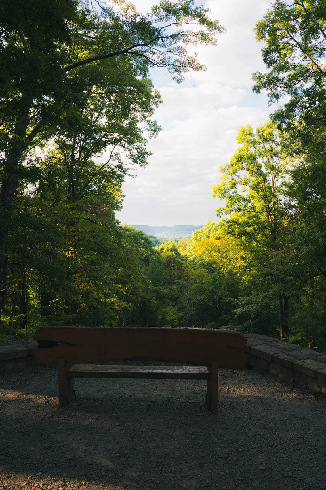 A bench at Percy Warner Park