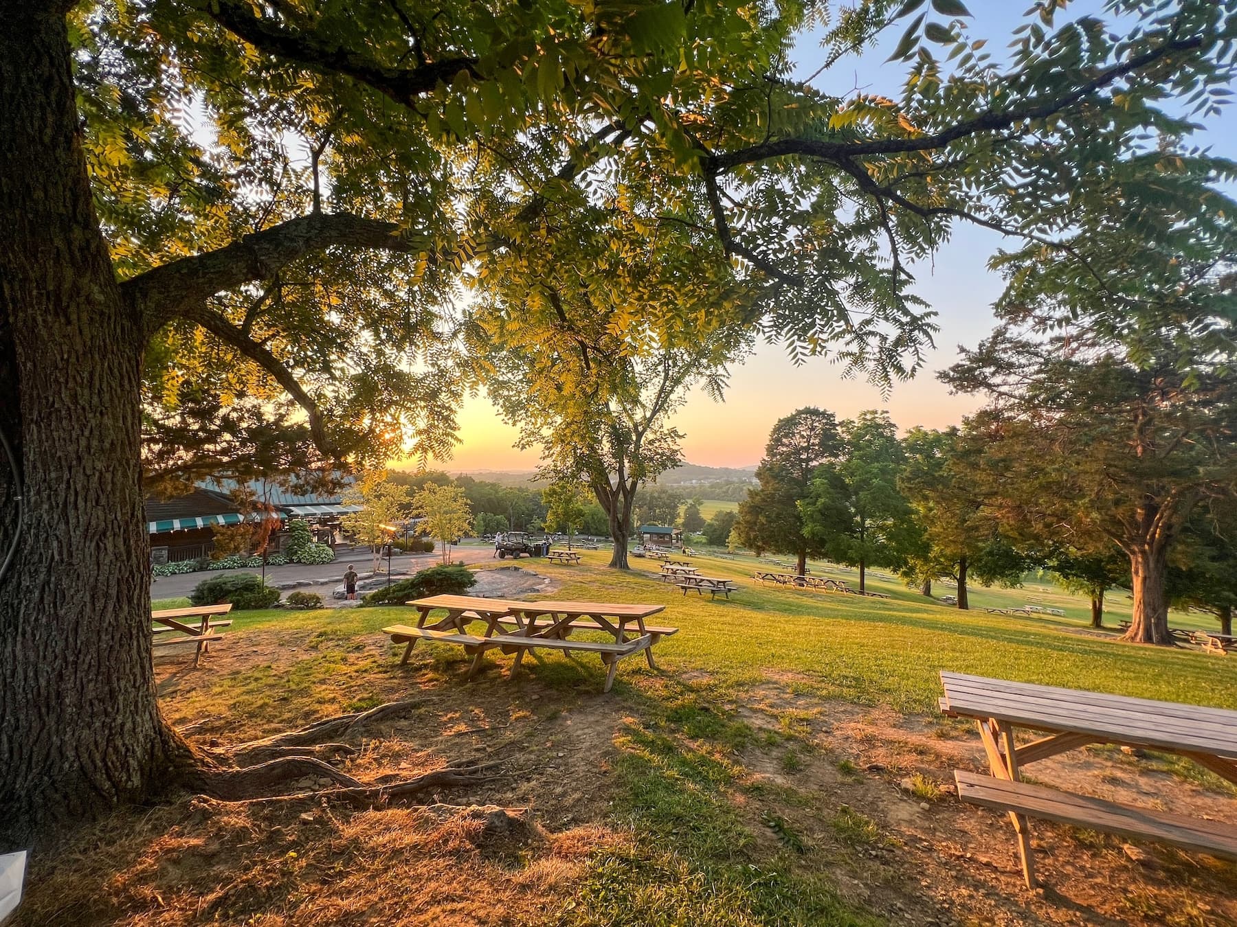 Sunset at Arrington Vineyards
