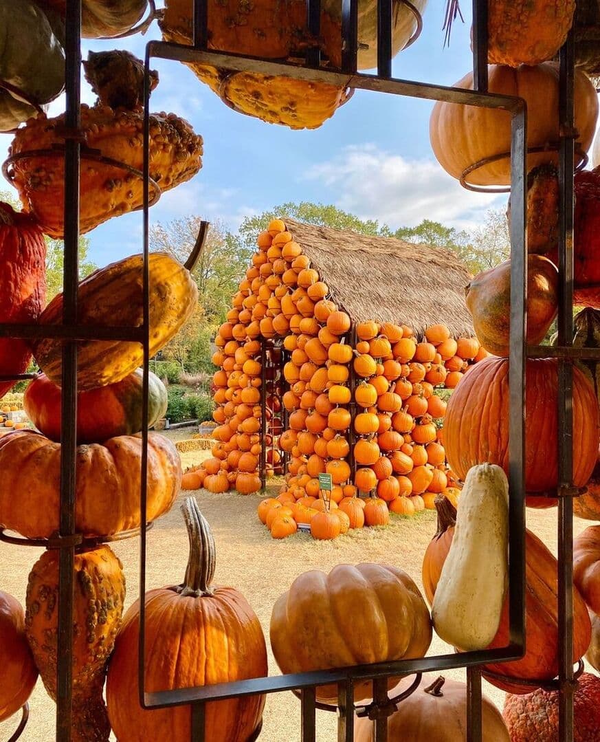A pumpkin house for Cheekwood's fall display