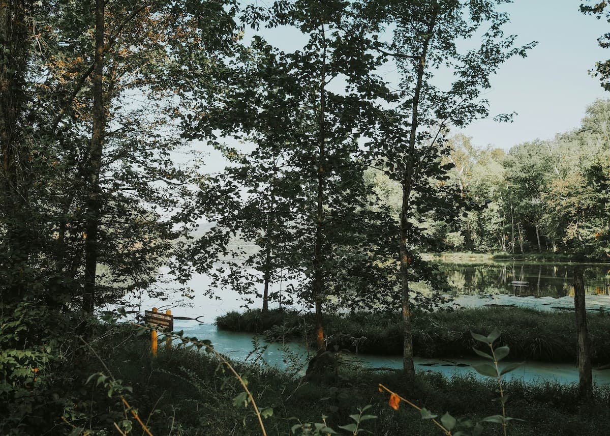 Otter Creek Road at Radnor Lake State Park