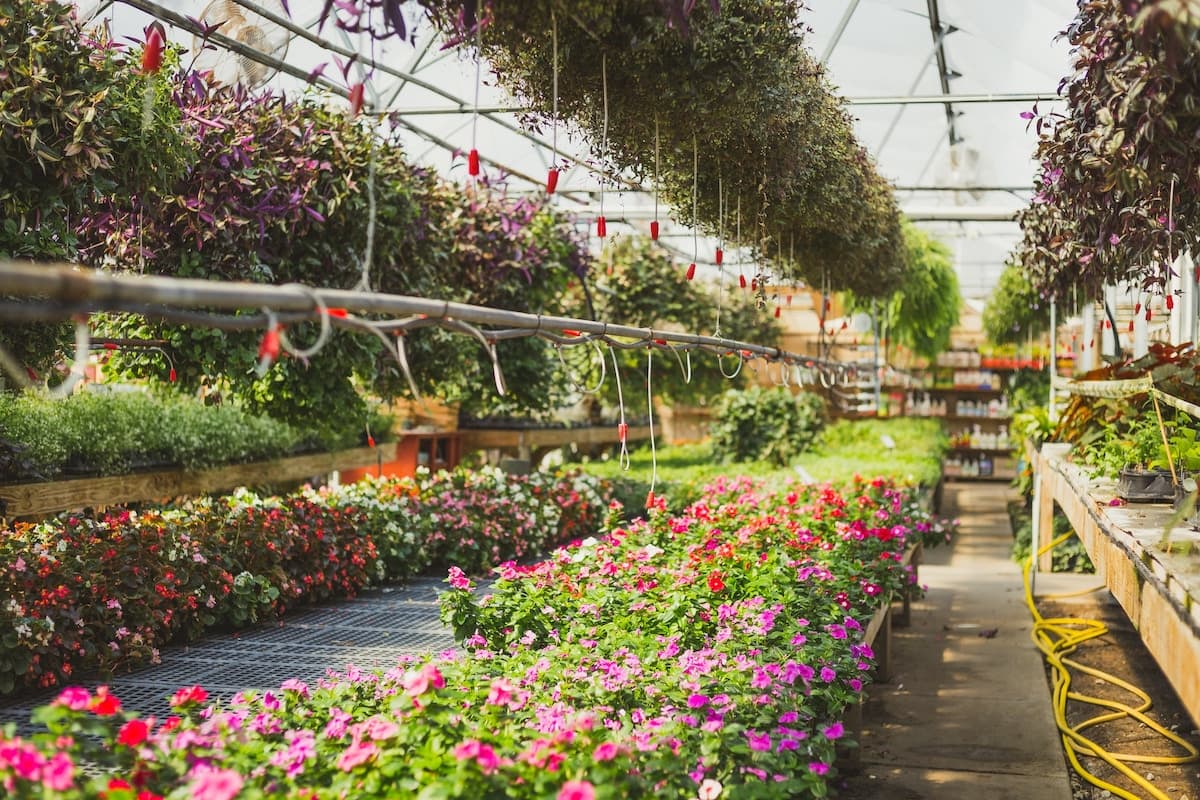 A greenhouse at Hewitt Garden Center