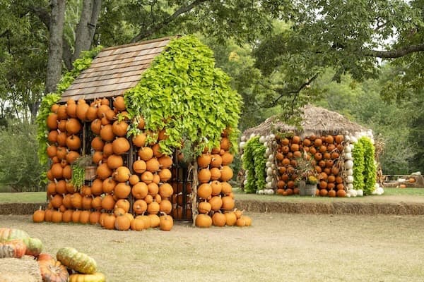 Cheekwood pumpkin house
