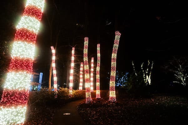 Holiday Lights at Cheekwood