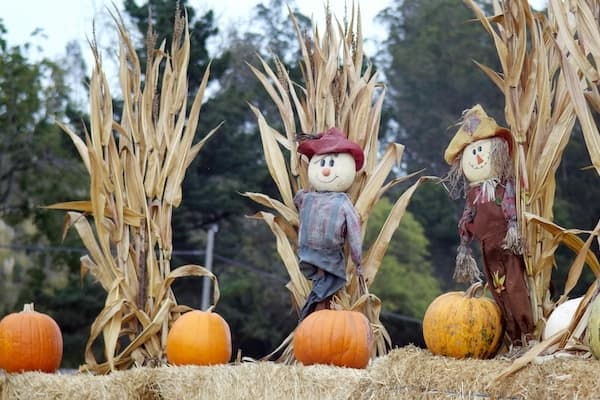 Pumpkins
