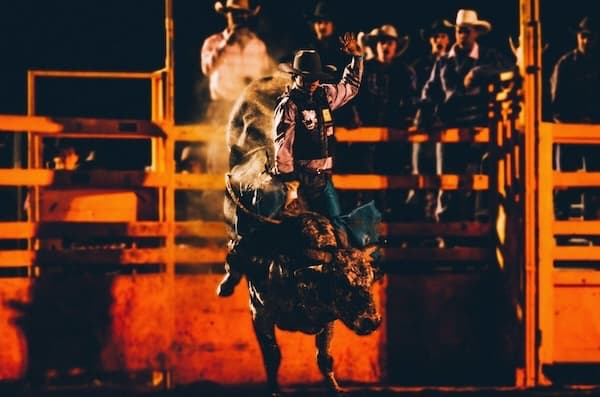 A rodeo