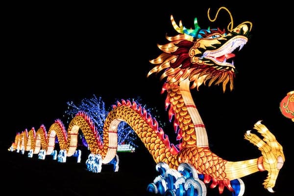 Zoolumination dragon