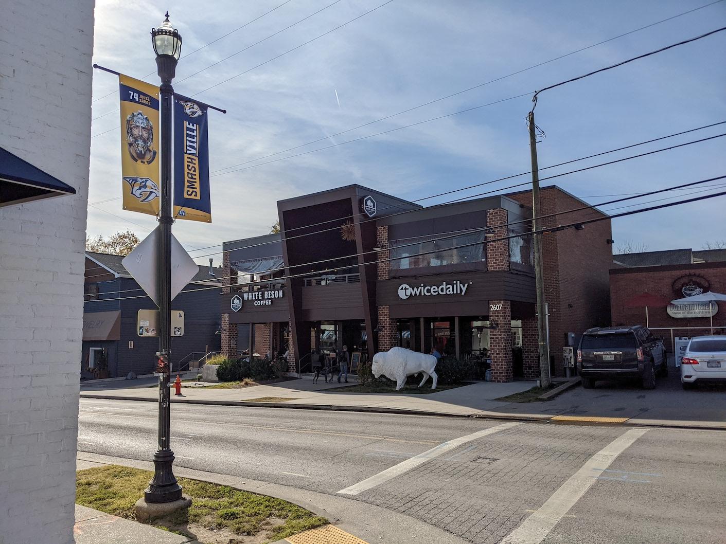 White Bison and Twice Daily in 12 South