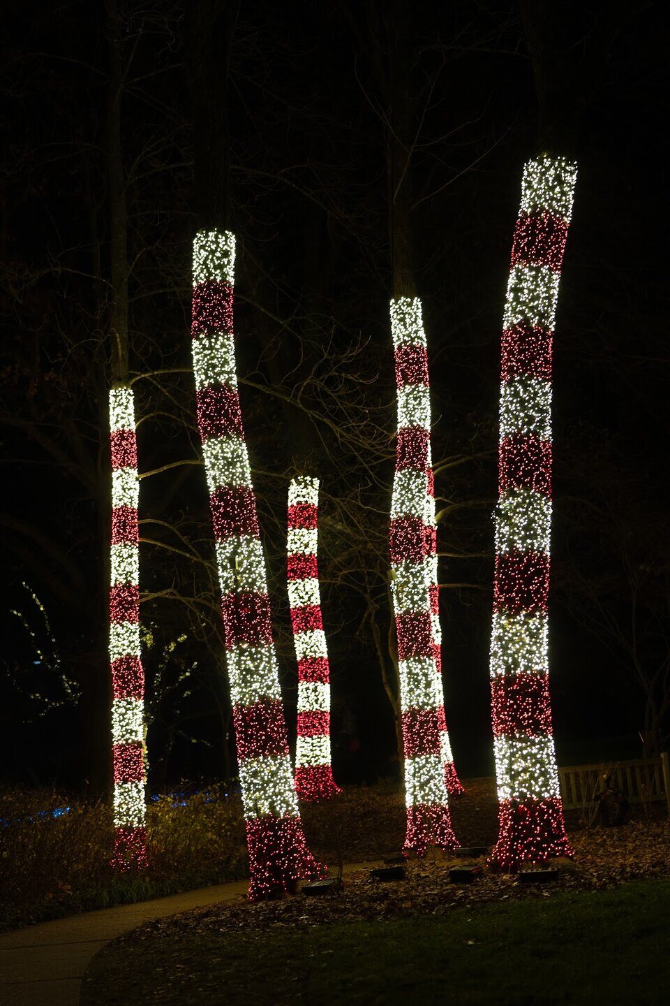 Candy cane Christmas lights