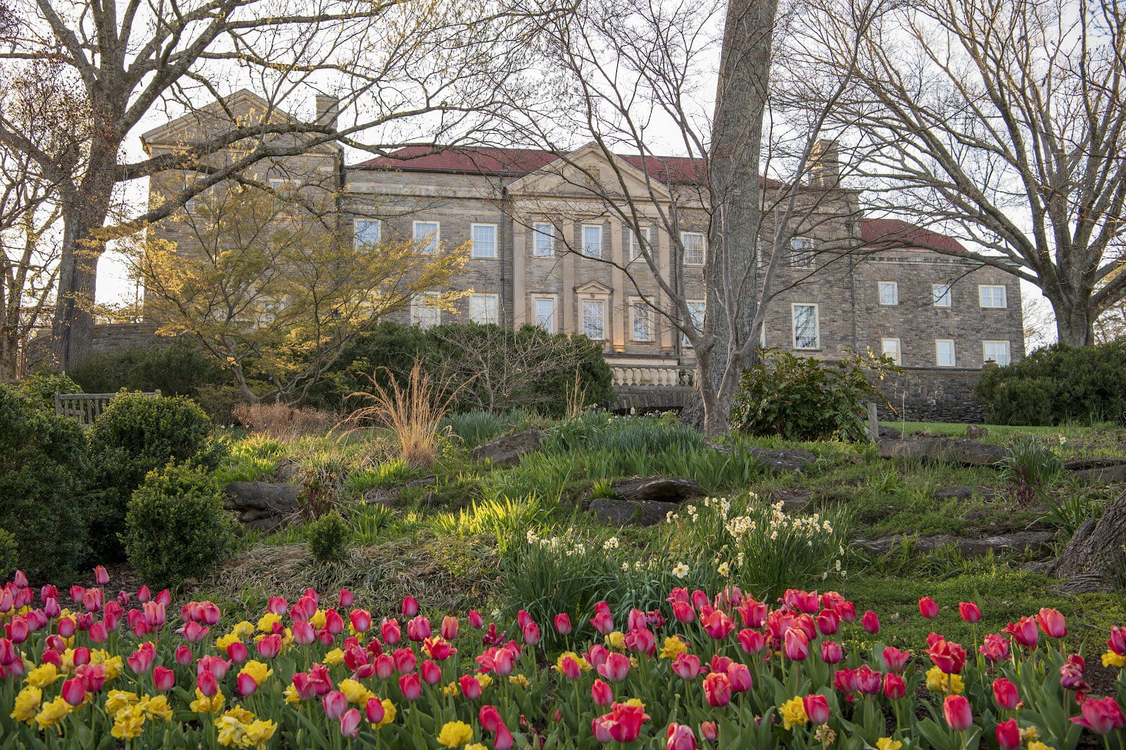 Cheekwood in bloom
