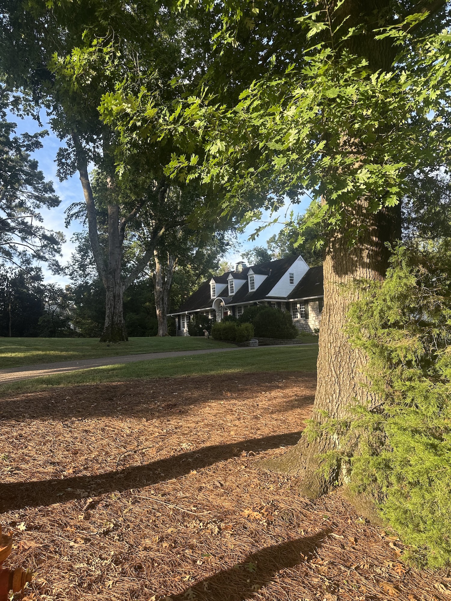 A pretty house with nice landscaping