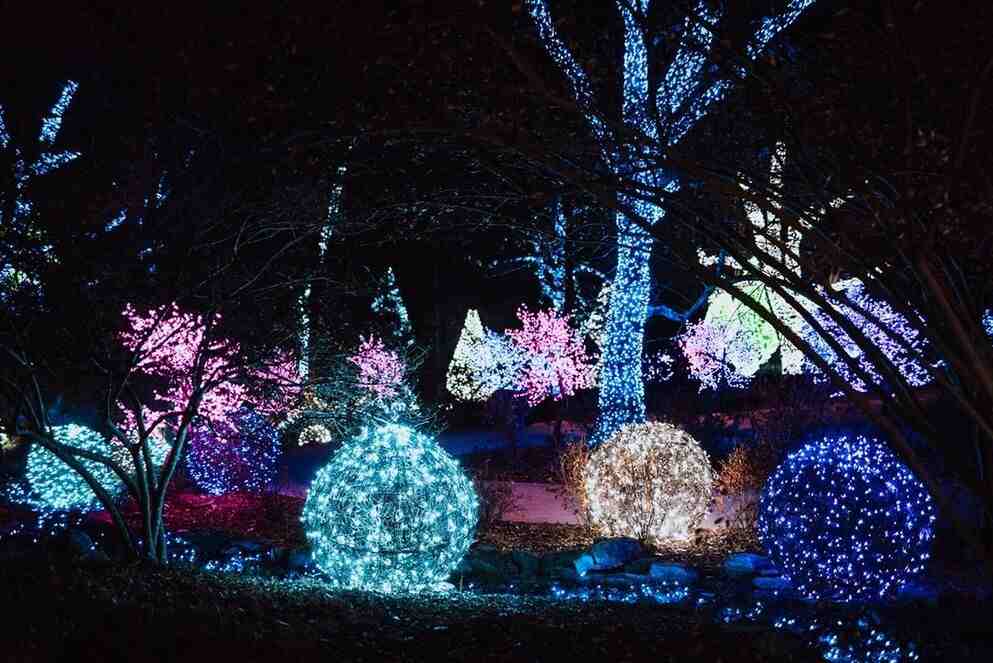 Amazing Christmas lights at Cheekwood