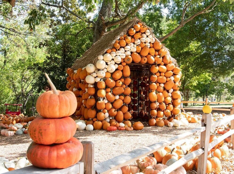 Cheekwood's pumpkin house