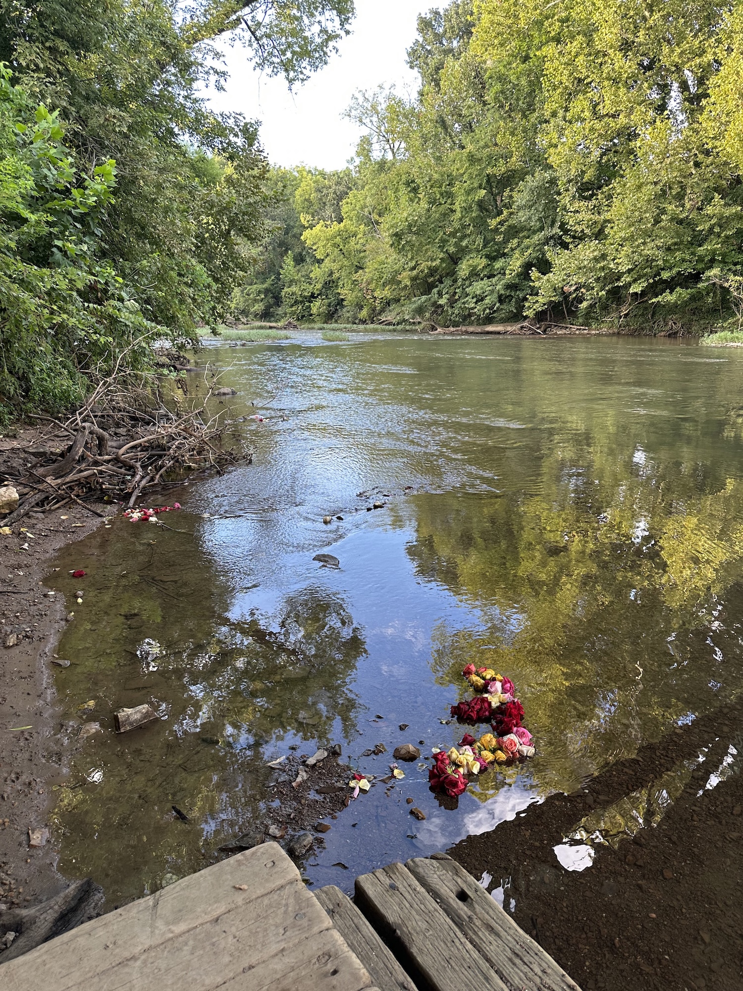The Harpeth River