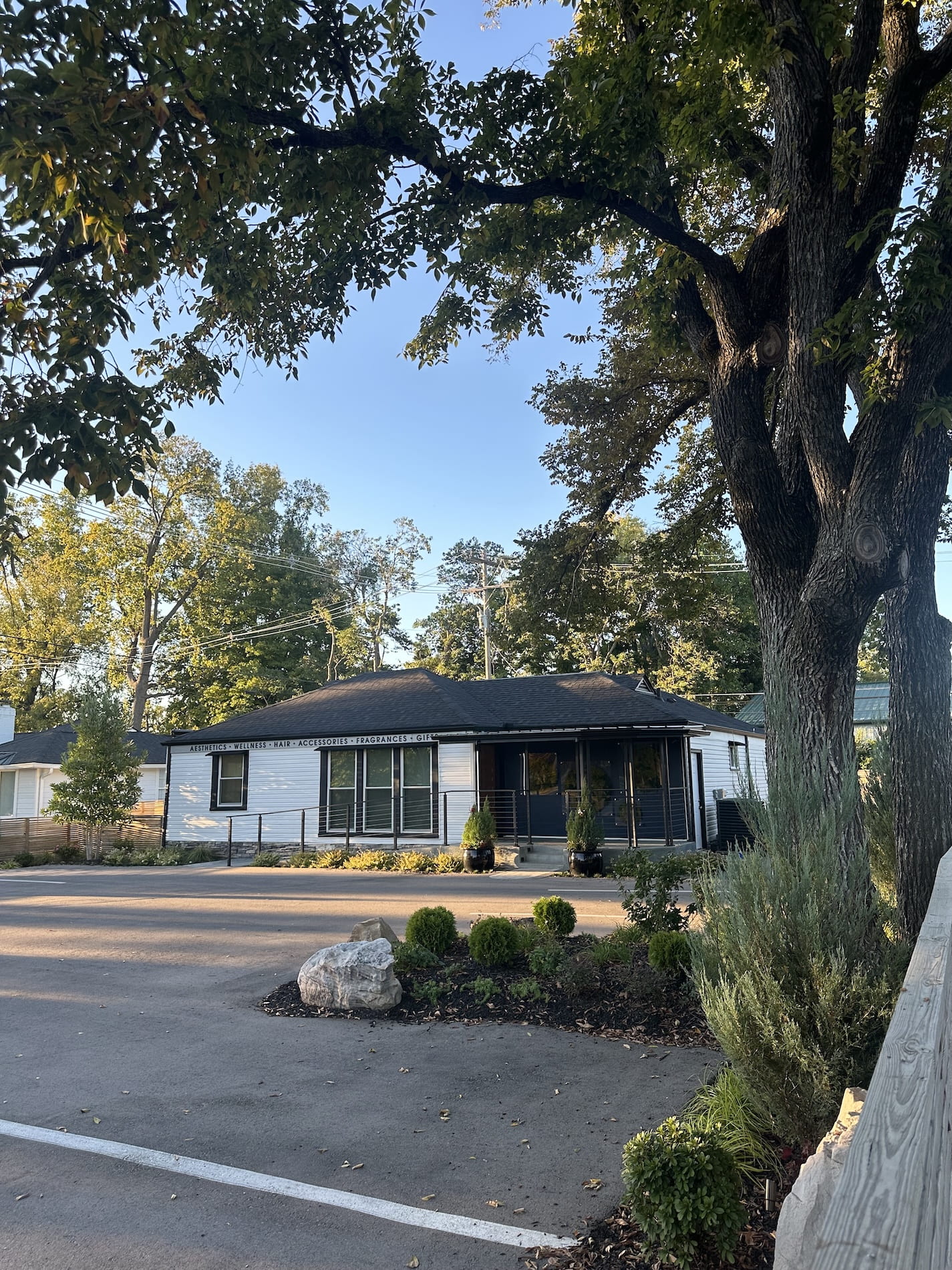A small office and parking lot with a big tree