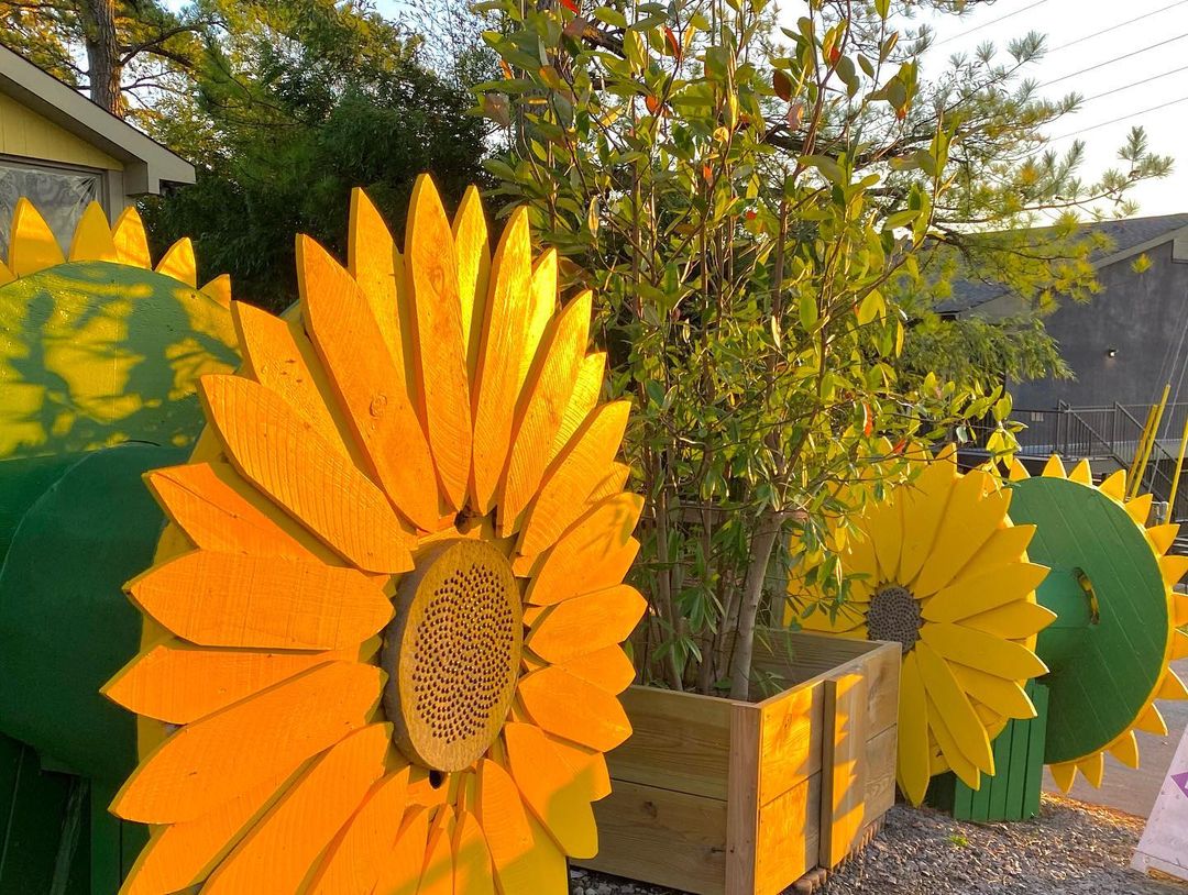 Sunflowers at The Sunflower Cafe in Berry Hill