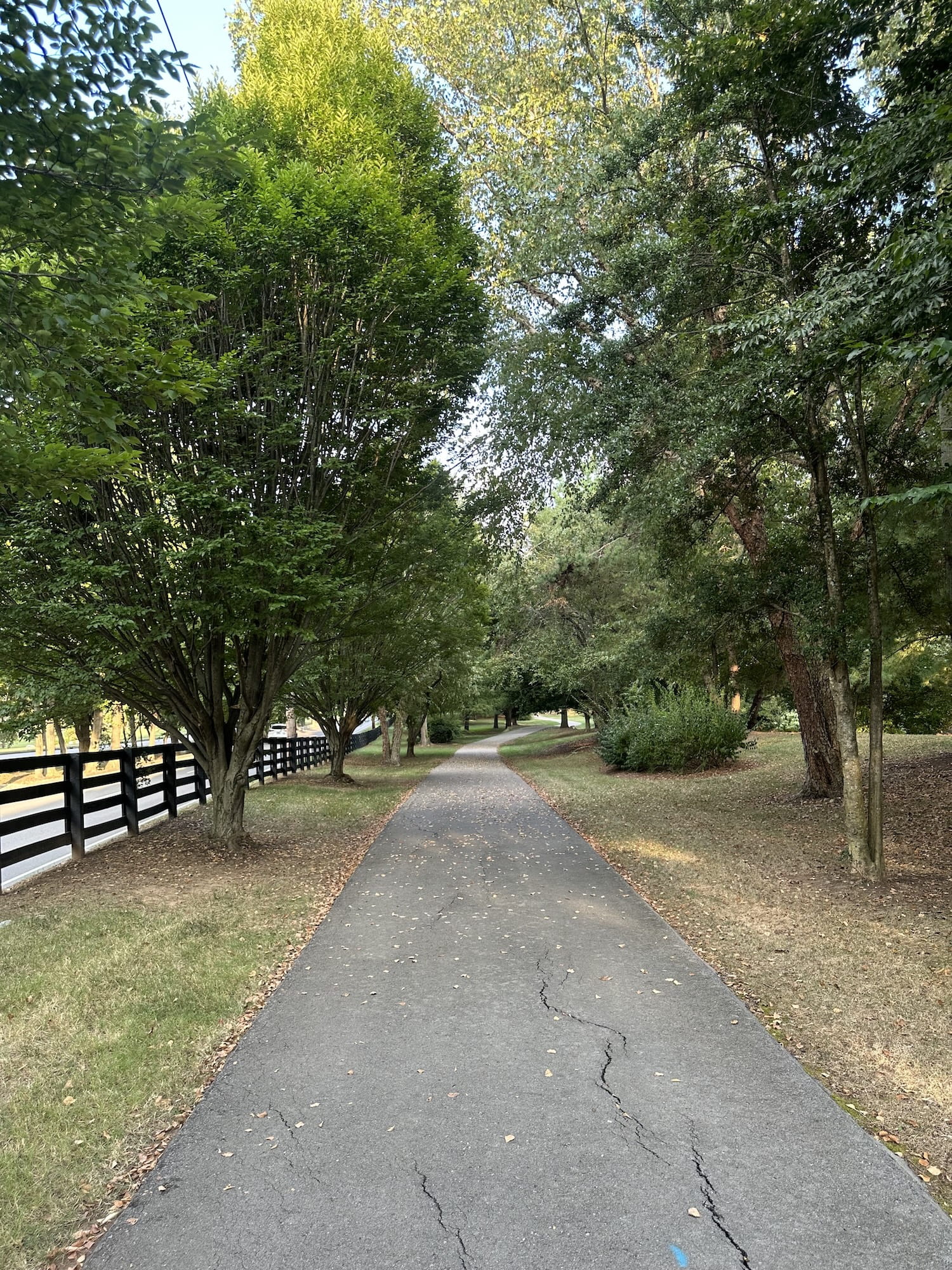 A path by the road