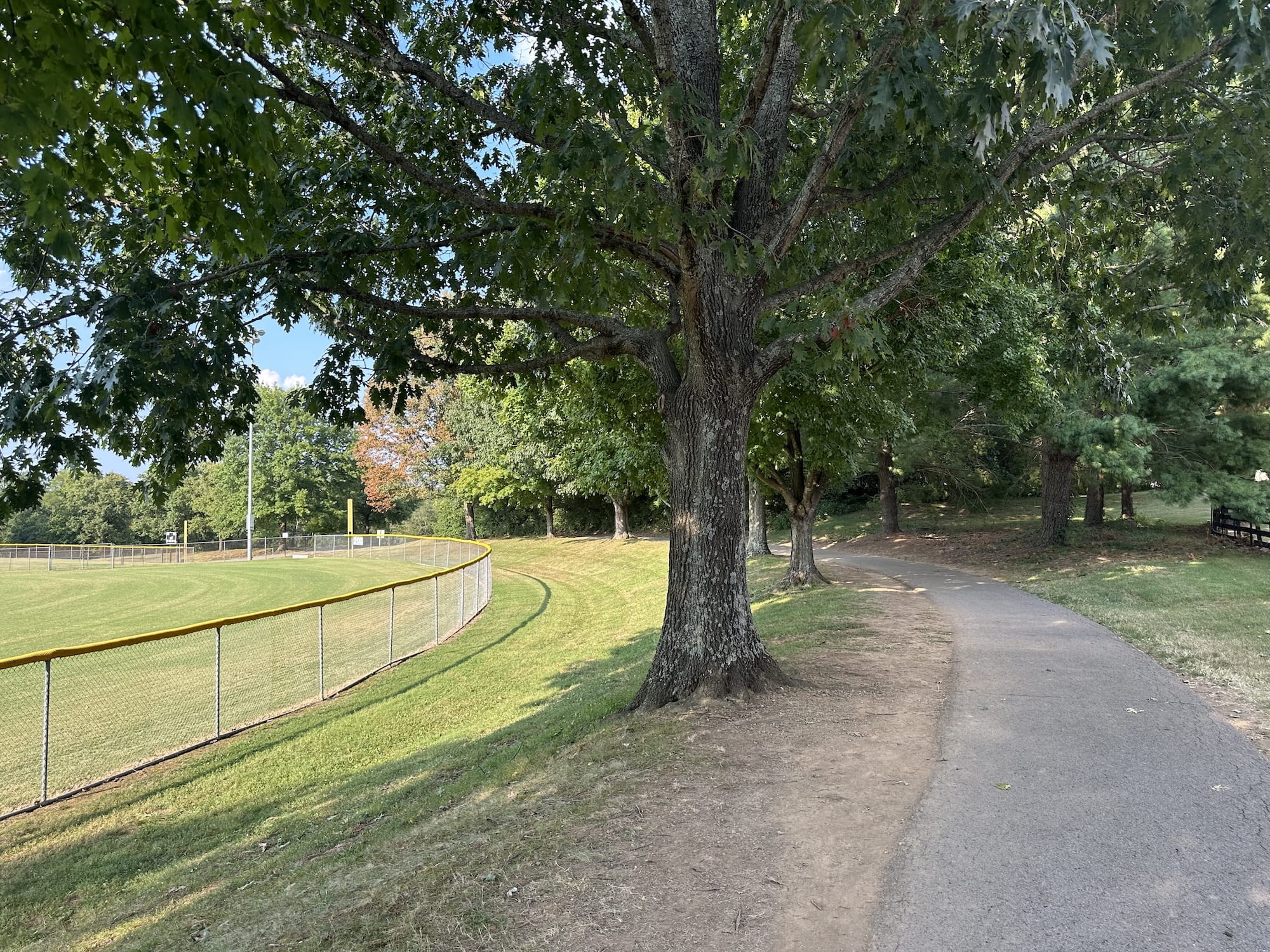 A pathway at Crockett Park