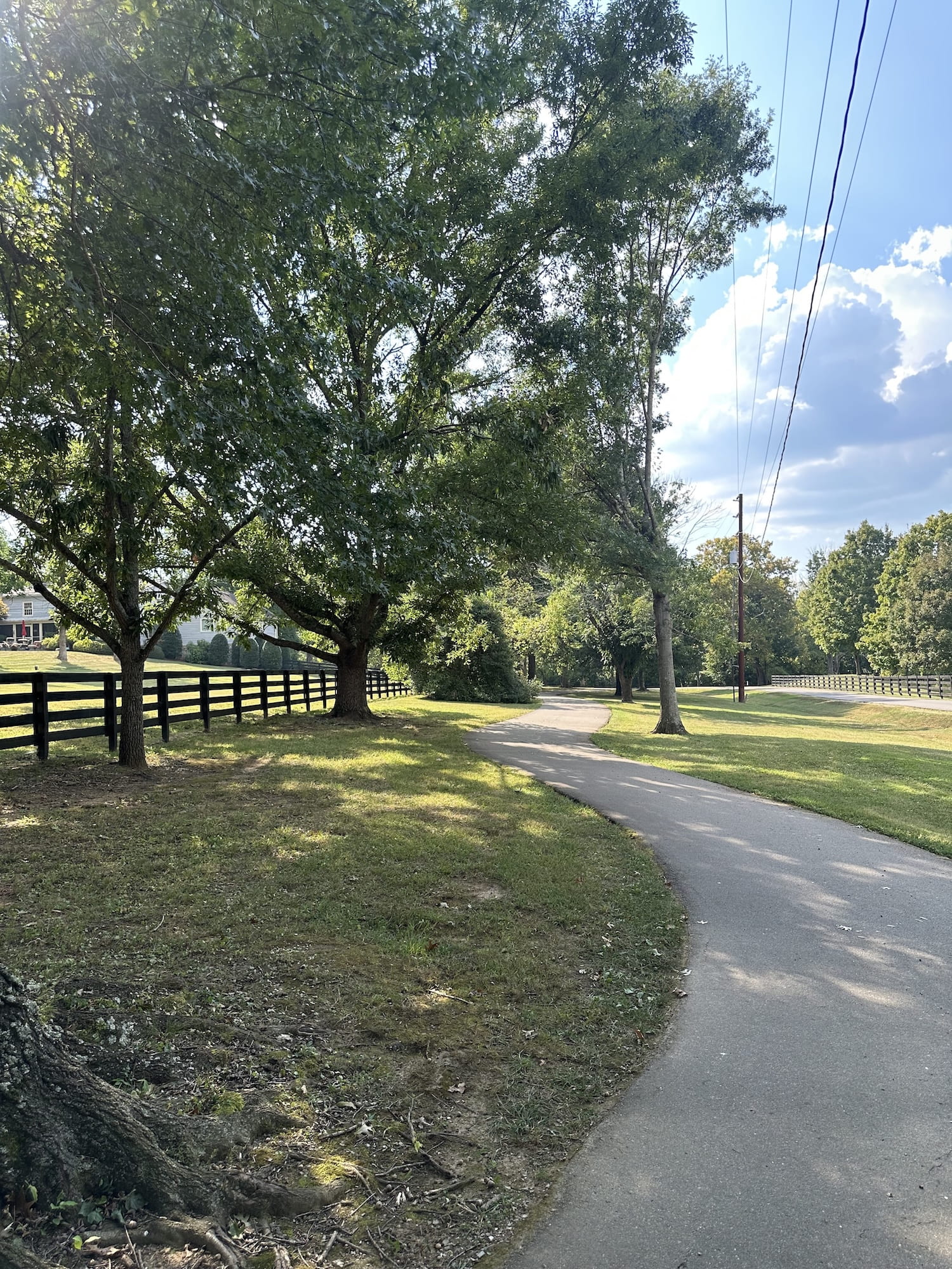 Deerwood Arboretum trail