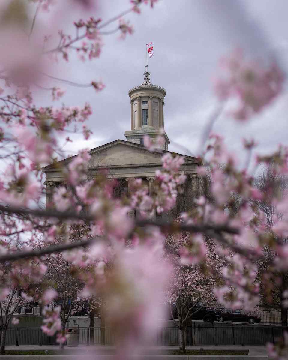 Spring flowers at the Capitol building
