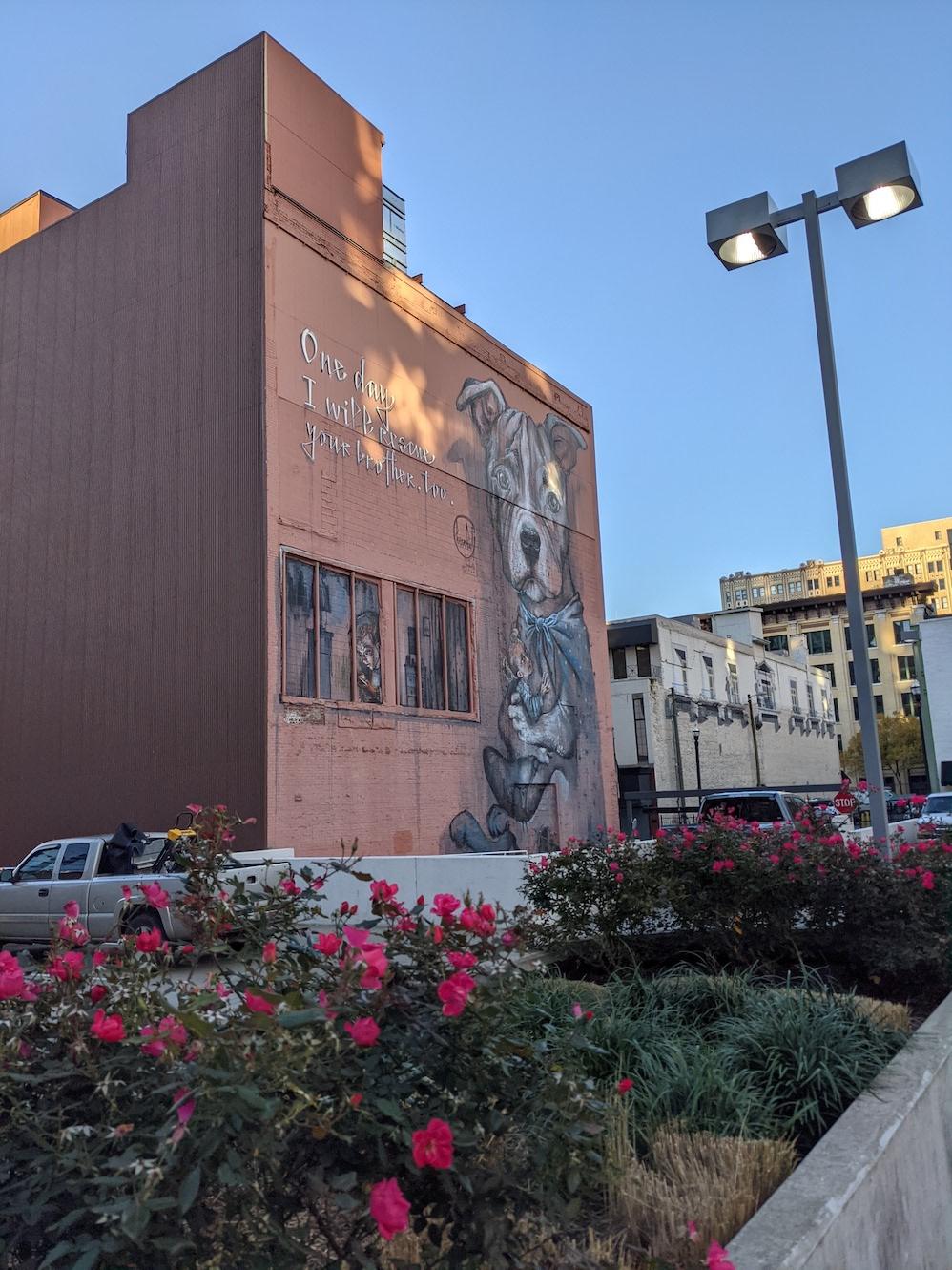 A mural in downtown Nashville of a dog
