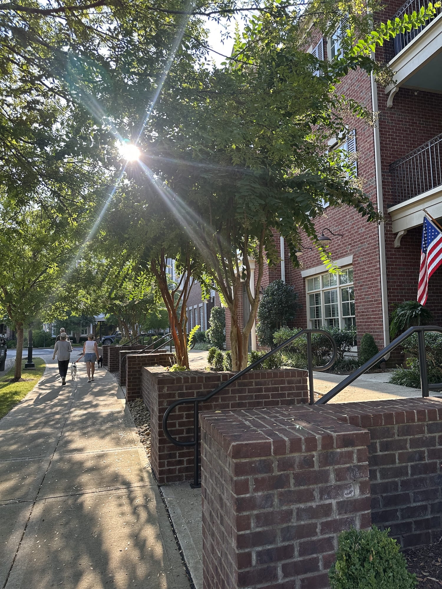 A neighborhood walk in Westhaven