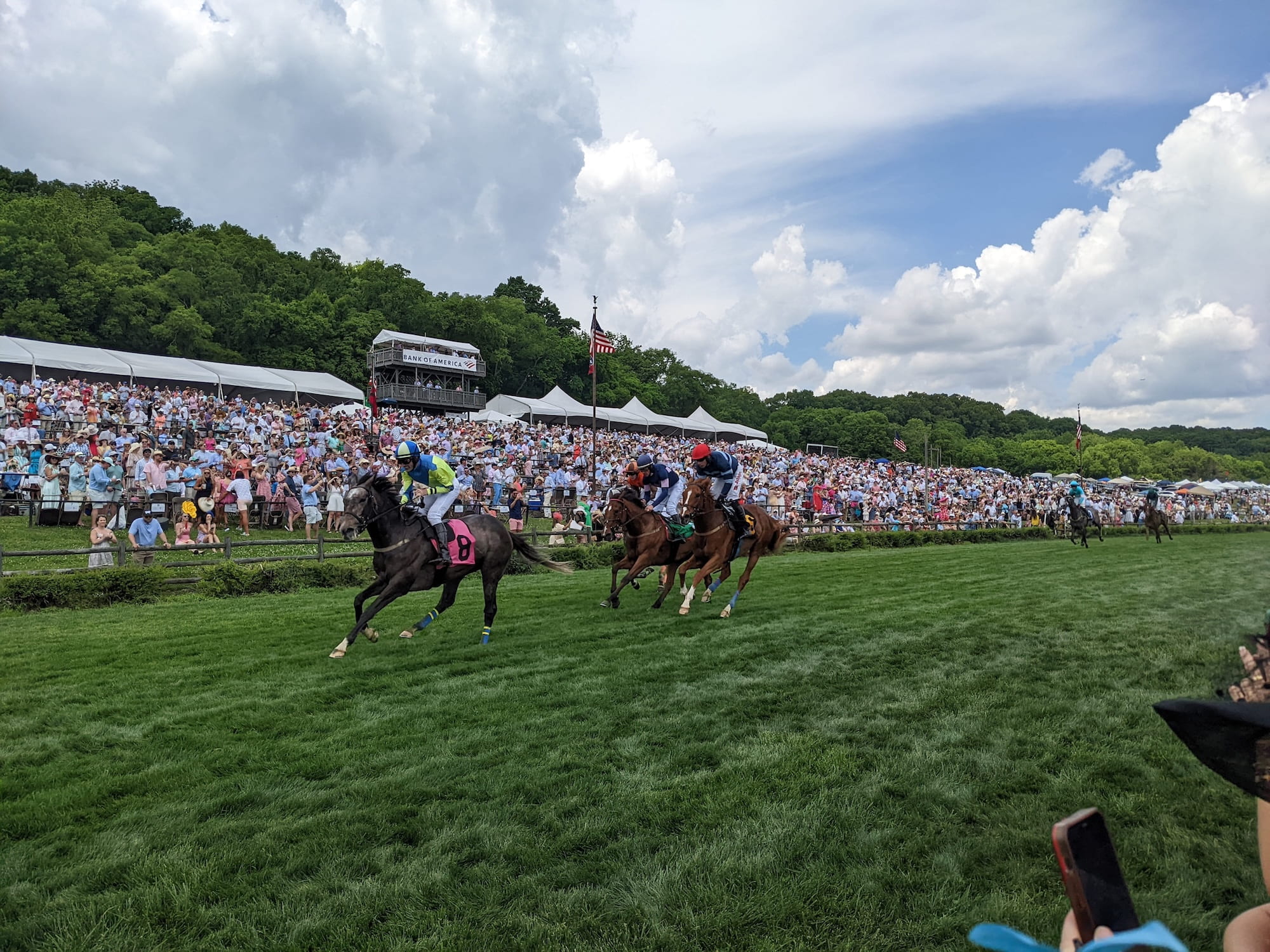 Horses racing the Steeplechase in Nashville