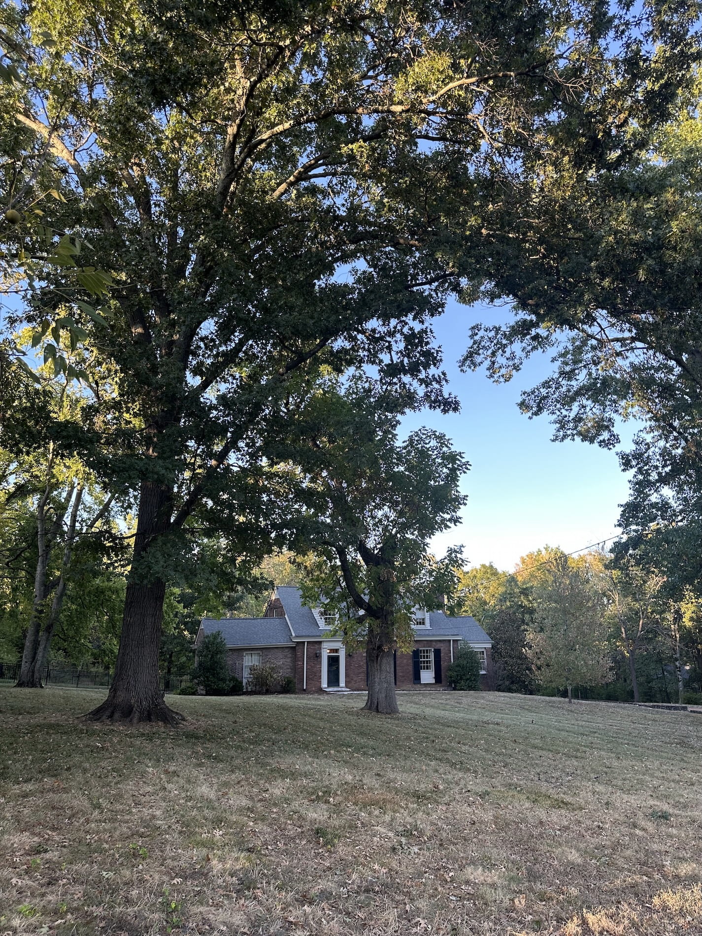 A brick house on a large lot with big trees