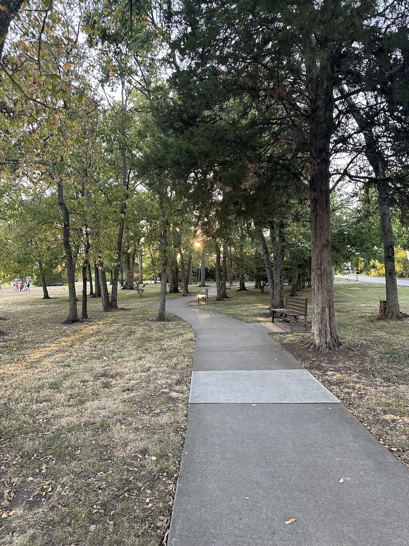 A park near Green Hills Library