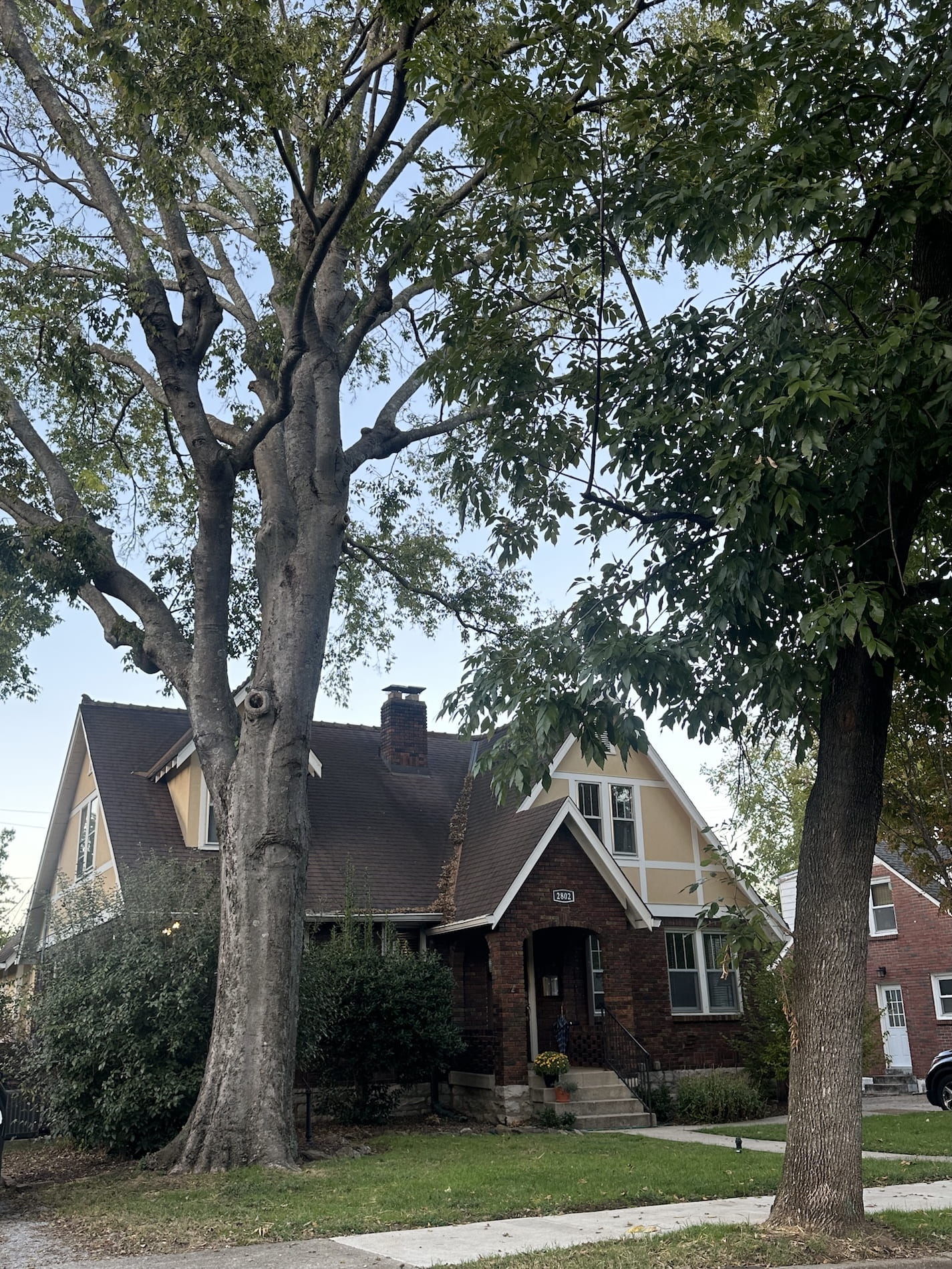 An arts and crafts house with big trees