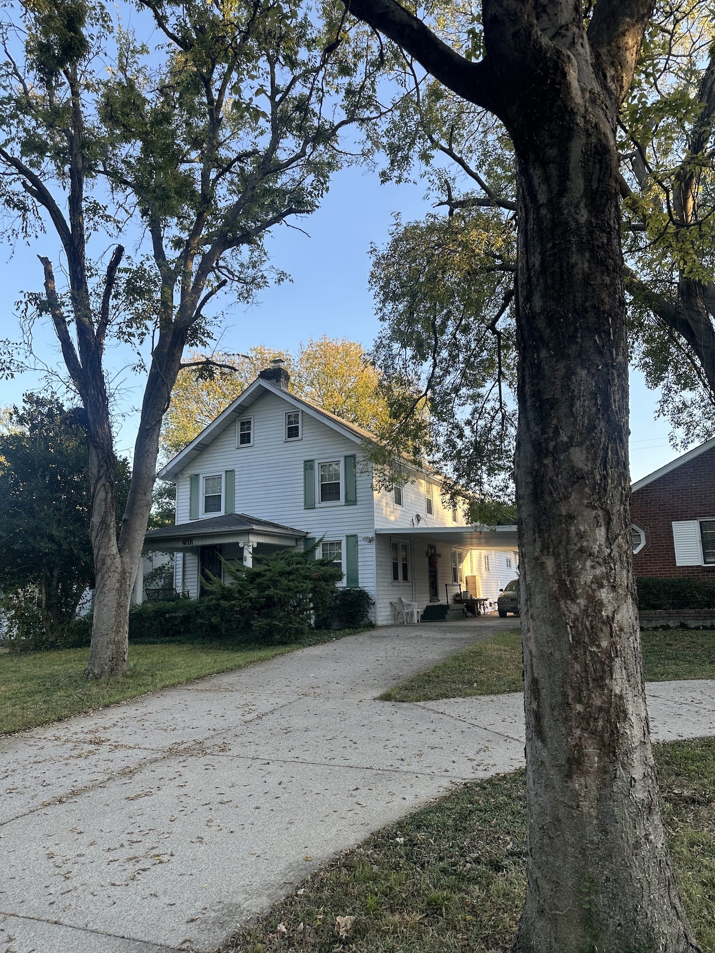 A driveway with big teees and a white house