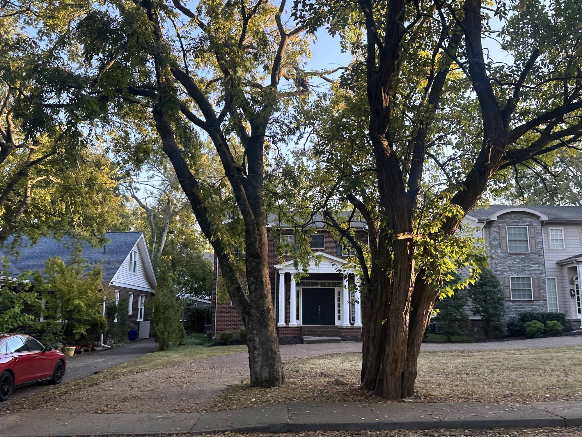 Two big trees frame a doorway