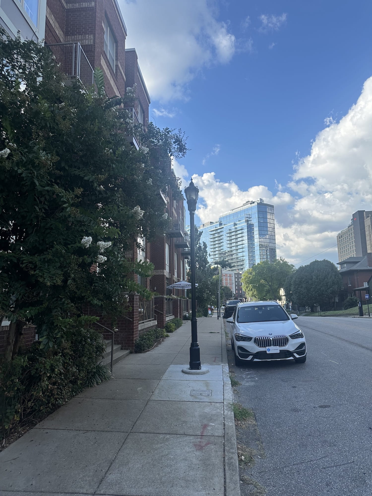 Midtown sidewalk views