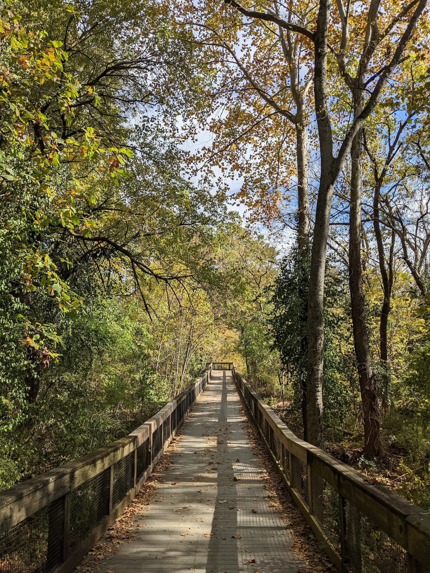 Richland Creek Greenway bridge