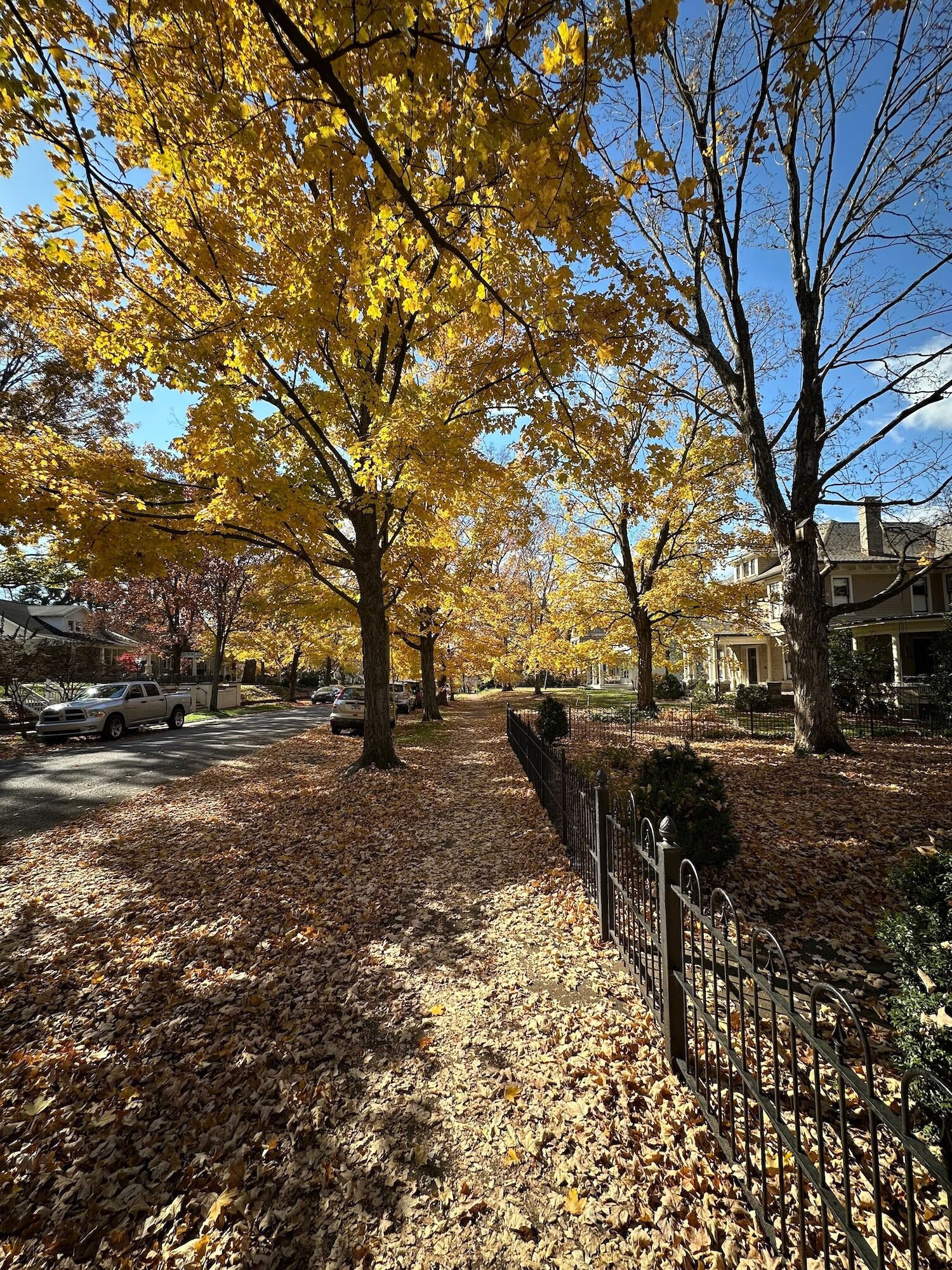 Sylvan Park fall walk