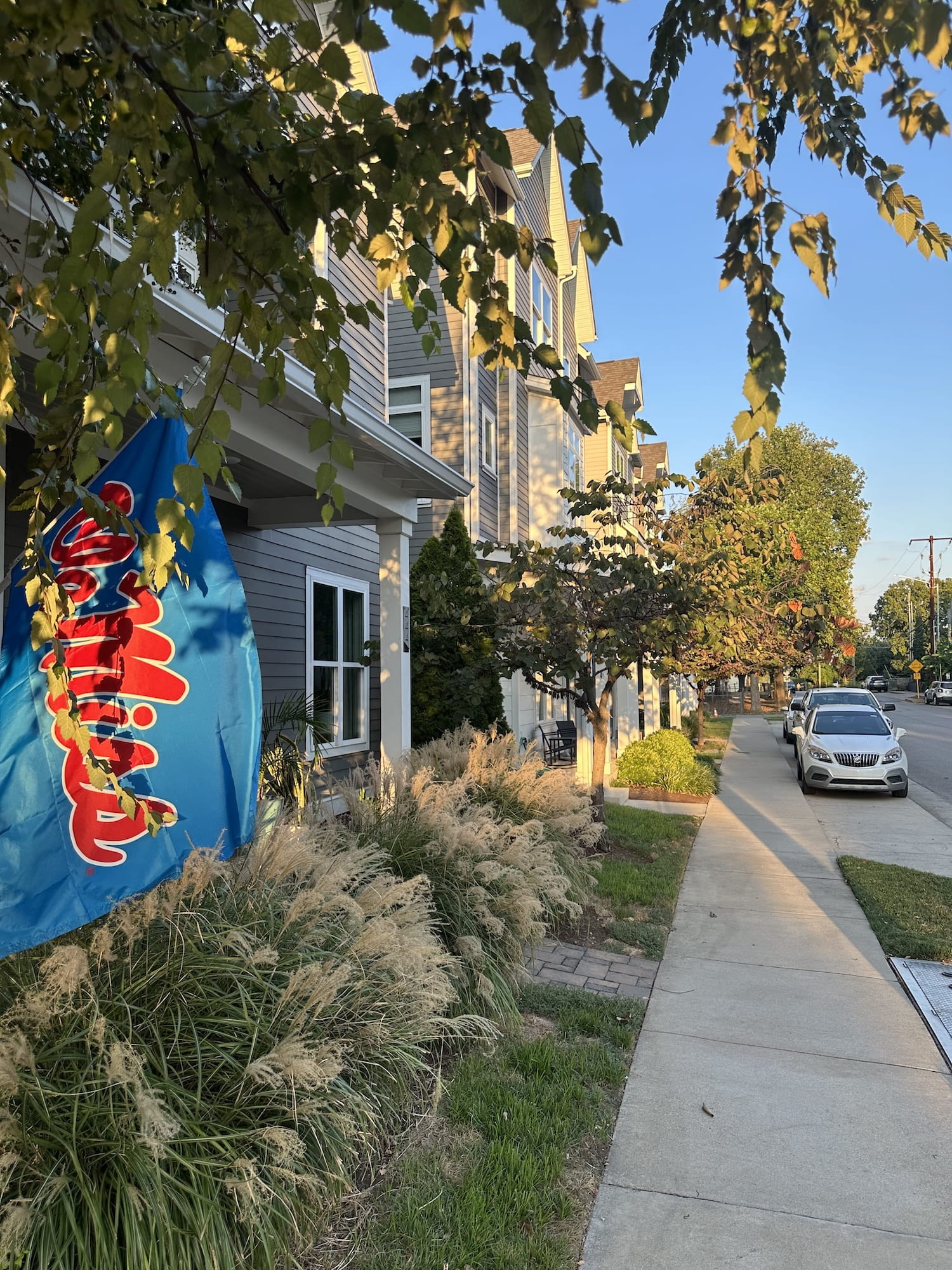 Ole Miss flag Nashville townhome