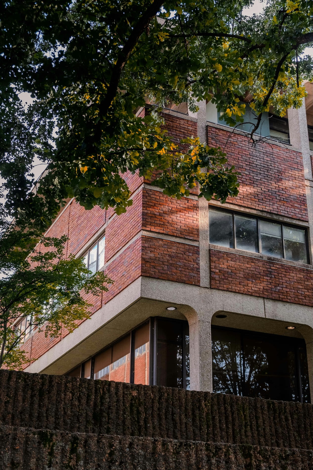 A building at Vanderbilt