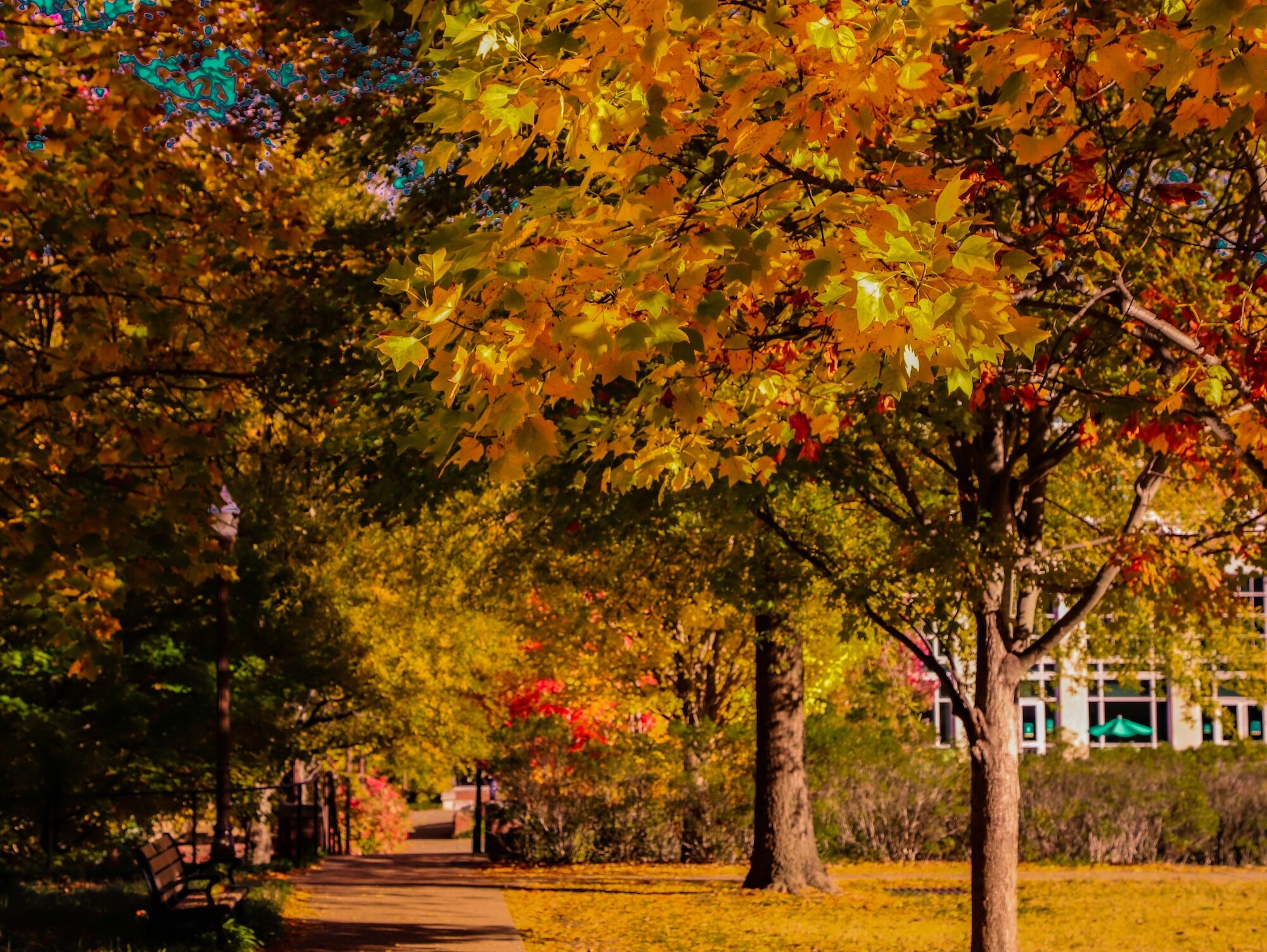 West End in Nashville in the fall