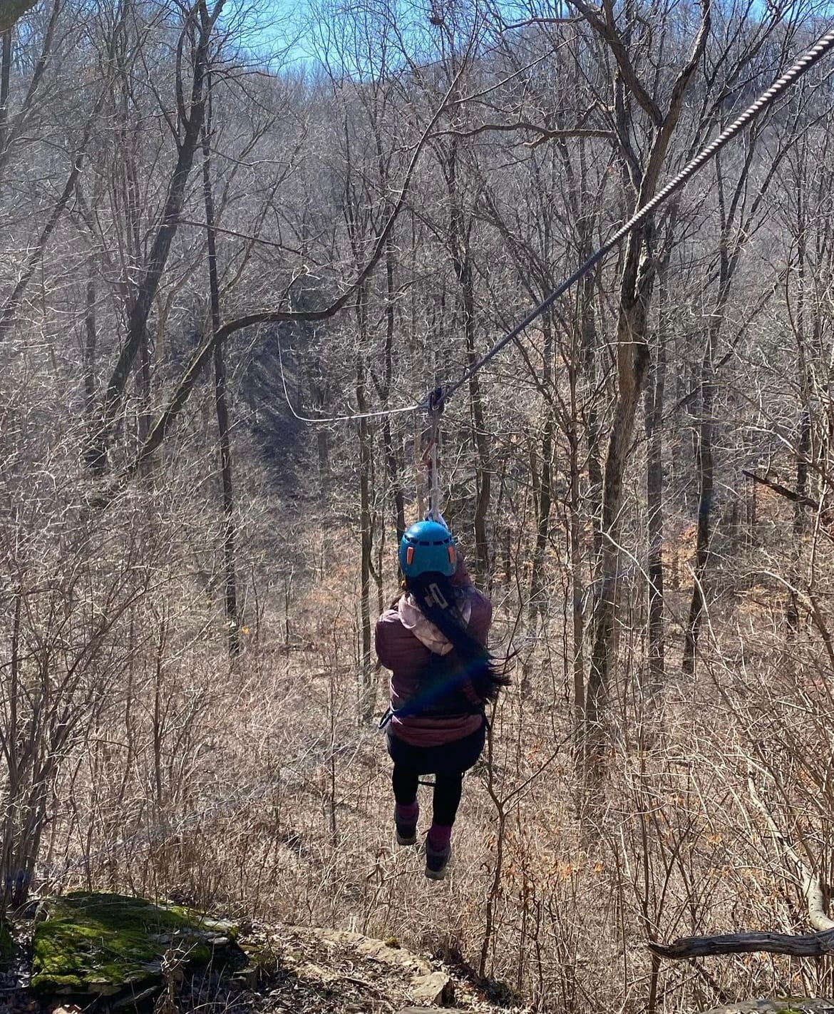 A long zipline through the trees