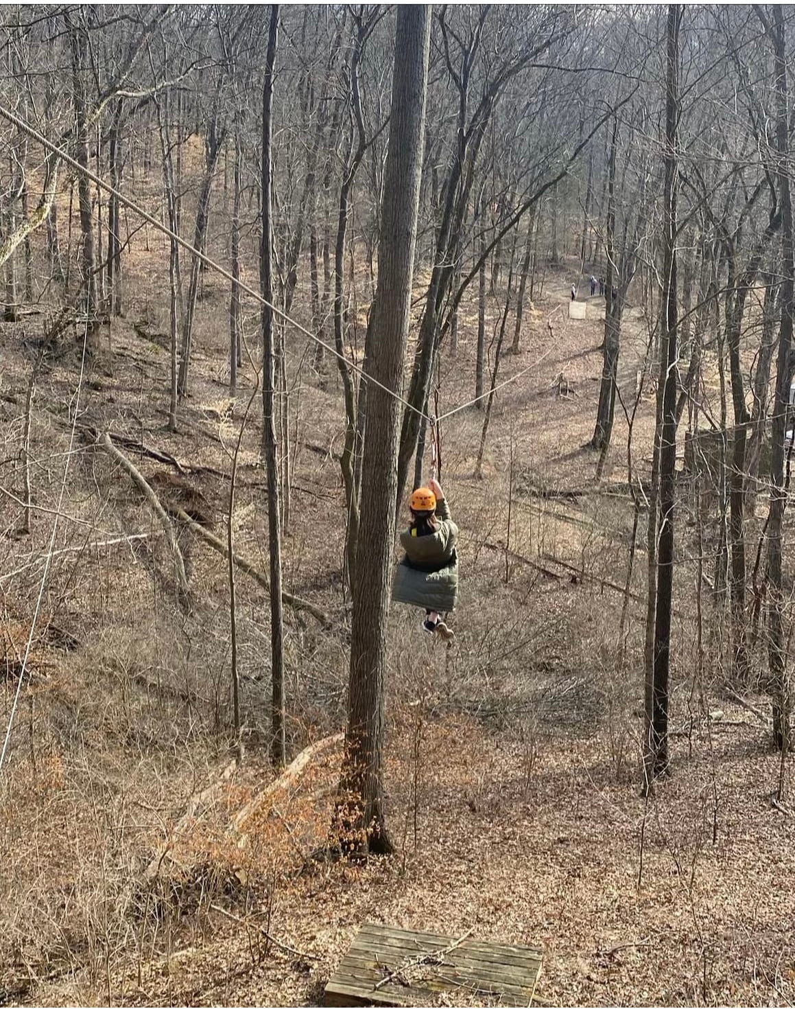 A long zipline in the trees